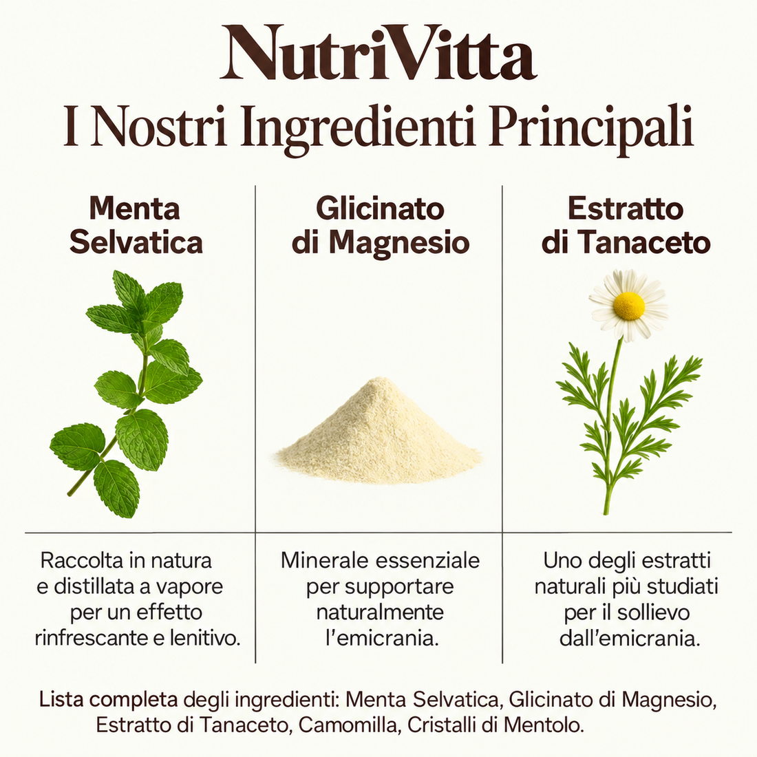 Gli ingredienti principali di NutriVitta: menta selvatica, glicinato di magnesio ed estratto di tanaceto